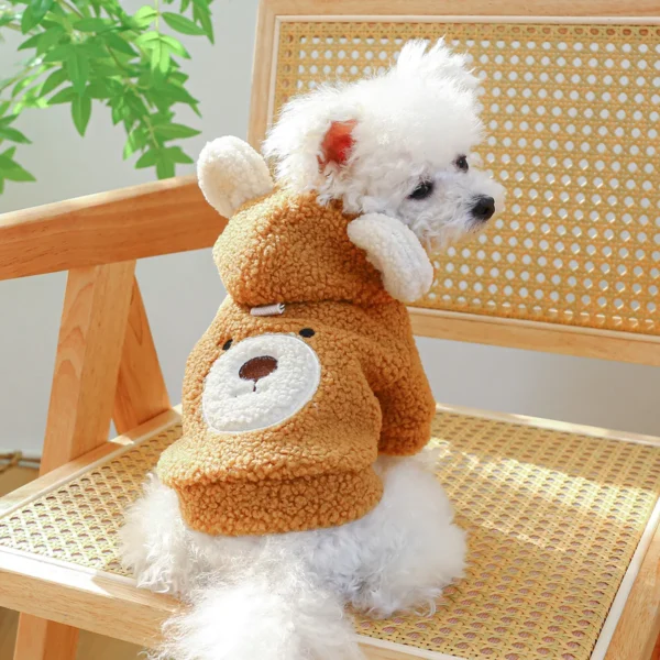 Little Bear Head Coat Hoodie